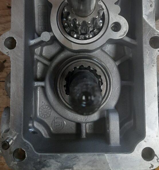 20250619_114049 555x592